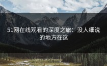 51网在线观看的深度之旅：没人细说的地方在这