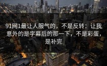 91网1最让人服气的，不是反转：让我意外的是字幕后的那一下，不是彩蛋，是补完