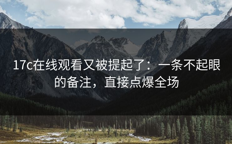 17c在线观看又被提起了：一条不起眼的备注，直接点爆全场  第1张