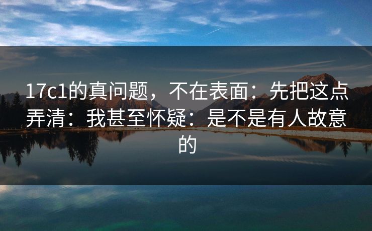 17c1的真问题，不在表面：先把这点弄清：我甚至怀疑：是不是有人故意的  第1张